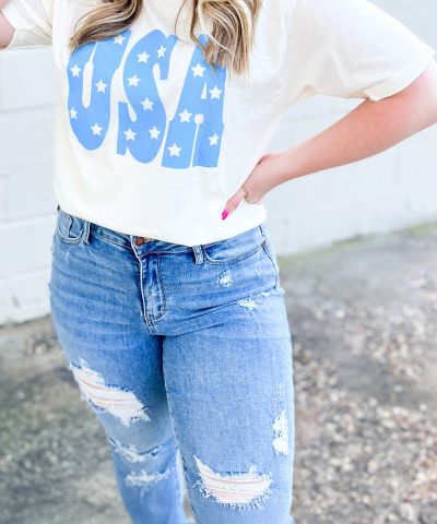 Sky Blue USA Graphic Crewneck Plus Size Patriotic Tee