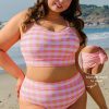 Pink Plus Size Plaid Print High Waist Bikini Set