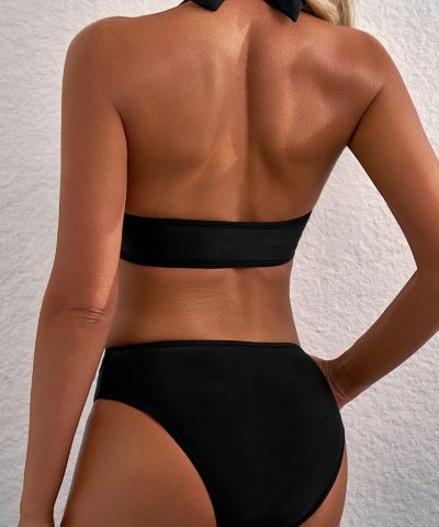Black Sheer Mesh Edged Halter V Neck Push Up Bikini