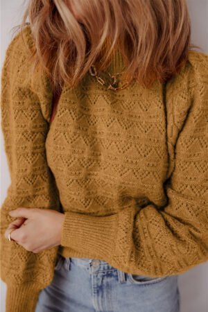 Alternative view of Jurassic Gold Hollow Out Crochet Ribbed Edge Balloon Sleeve Sweater