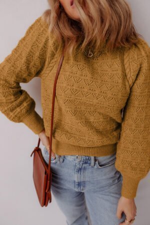 Jurassic Gold Hollow Out Crochet Ribbed Edge Balloon Sleeve Sweater - Image 5
