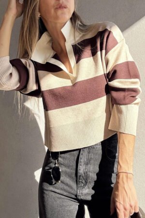 Brown Ribbed Trim Color Block Knitted Polo Collar Sweater