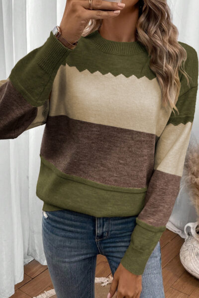Brown Colorblock Crew Neck Drop Shoulder Sweater