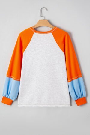 Light Grey Thanksgiving Turkey Sequin Graphic Color Block Long Raglan Sleeve Top - Image 6