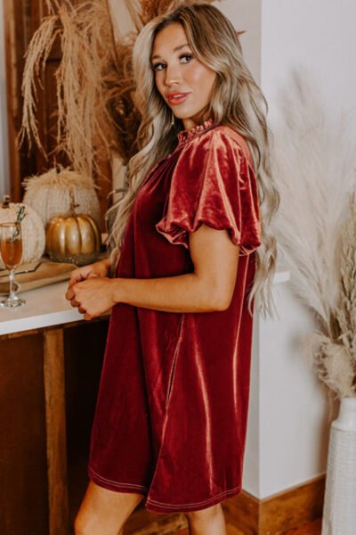 Cinnamon Velvet Smocked Neckline Puff Sleeve Shift Mini Dress