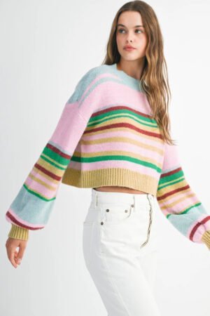 Multicolour Striped Knit Ribbed Trim Boxy Fit Cropped Sweater - Image 3