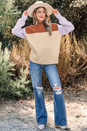 Khaki Color Block Plain Ribbed Knit Baggy Sweater - Image 6