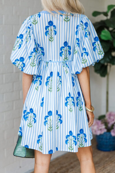 Alternative view of Sky Blue Floral Striped Print Tie Notched Neck Puff Sleeve Flared Mini Dress