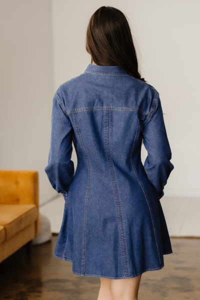 Alternative view of Ashleigh Blue Denim Shirt Collar Long Sleeve Flared Mini Dress